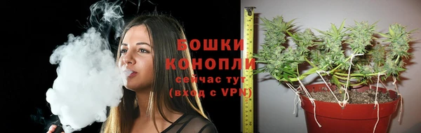 Альфа ПВП Пестово