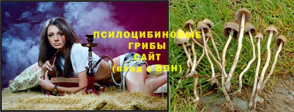 Альфа ПВП Пестово