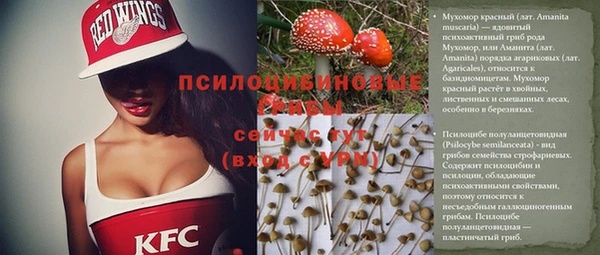 СК Осташков
