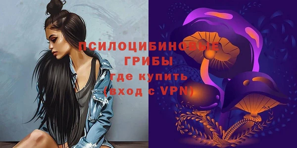 Альфа ПВП Пестово