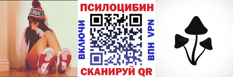 купить сайты Судогда Псилоцибиновые грибы мухоморы