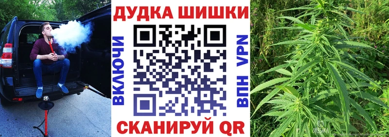 где можно купить   Судогда  Канабис OG Kush 